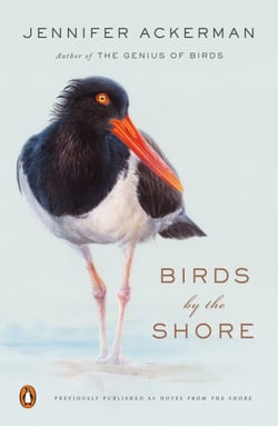 Birds by the Shore - Observing the Natural Life of the Atlantic Coast