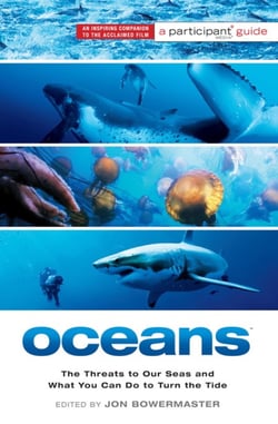 Oceans - The Threats to Our Seas and What You Can Do to Turn the Tide