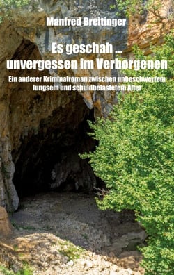 Es geschah … unvergessen im Verborgenen - Ein anderer Kriminalroman zwischen unbeschwertem Jungsein und schuldbelastetem Alter