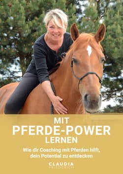 Mit Pferde-Power lernen - Wie Dir Coaching mit dem Pferd hilft, Dein Potential zu entdecken