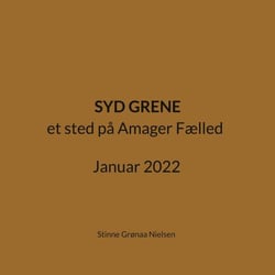 Syd Grene - et sted på Amager Fælled Januar 2022
