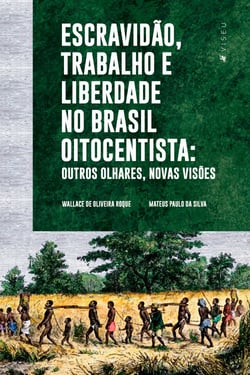 Escravidão, trabalho e liberdade no Brasil Oitocentista - Outros olhares, novas visões