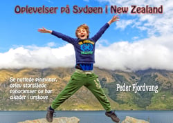 Oplevelser på Sydøen i New Zealand - Se nuttede pingviner, oplev åndeløse  panoramaer og hør cikader i urskove