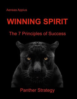 Winning Spirit - The 7 Principles of Success