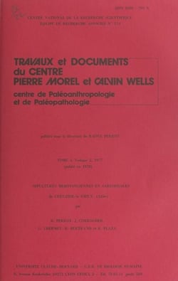Sépultures mérovingiennes en sarcophages de Creuzier-le-Vieux (Allier)