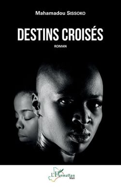 Destins croisés - Roman