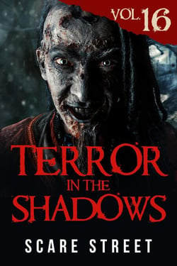 Terror in the Shadows Vol. 16 - Terror in the Shadows, #16