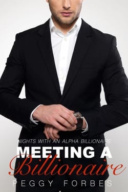 Meeting a Billionaire - Nights with an Alpha Billionaire, #1