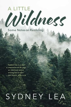 Little Wildness - Some Notes on Rambling