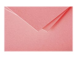 25 cartes pliées Pollen 106x213 mm - Litchi