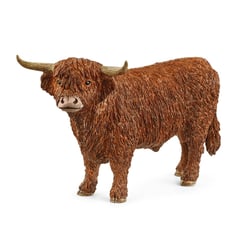 Taureau highland