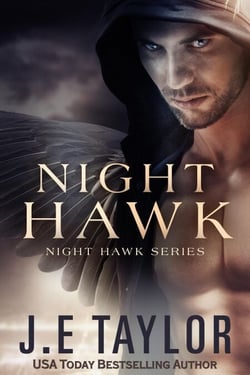 Night Hawk - Night Hawk Series, #1