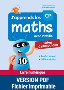PDF J'apprends les maths avec Picbille CP - Fiches à photocopier - Renforcement - Différenciation