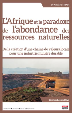 L'Afrique et le paradoxe de l'abondance des ressources naturelles - De la création d’une chaîne de valeurs locale pour une industrie minière durable