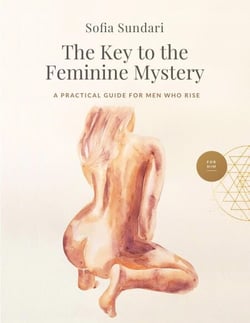 The Key to the  Feminine Mystery: A Practical Guide for Men Who Rise