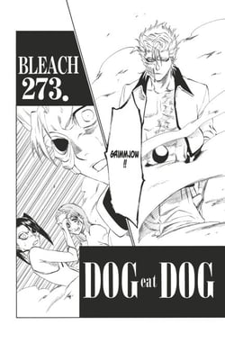 Bleach - T31 - Chapitre 273 - DOG eat DOG