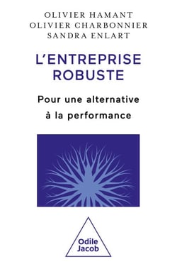 L' Entreprise robuste - Pour une alternative à la performance