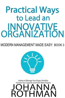 Practical Ways to Lead an Innovative Organization - Modern Management Made Easy, #3