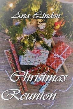 Christmas Reunion - Christmas Reunion, #1