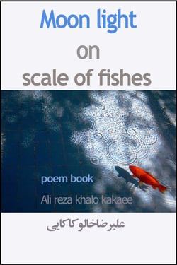 Moon Light on Scale of Fishes