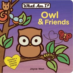 Owl &amp; Friends