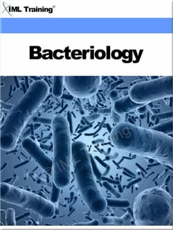 Bacteriology (Microbiology and Blood) - Microbiology and Blood