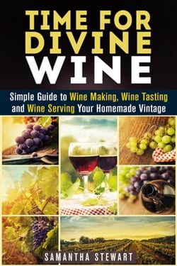 Time for Divine Wine: Simple Guide to Wine Making, Wine Tasting and Wine Serving Your Homemade Vintage - Homemade Wine Recipes, Guide to Making Wine at Home