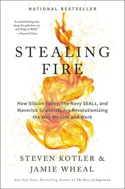 Stealing Fire - How Silicon Valley, the Navy SEALs, and Maverick Scientists Are Revolutionizing the Way We Live and Work