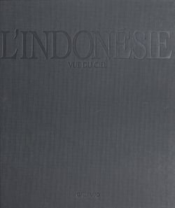 L'Indonésie vue du ciel