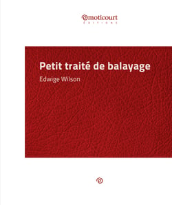 Petit traité de balayage - Essai littéraire
