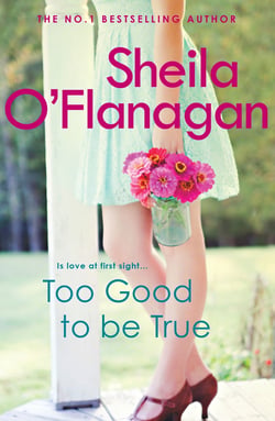 Too Good To Be True - Is it love at first sight? Or is she making a terrible mistake?