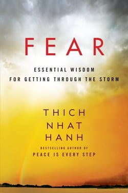 Fear - Essential Wisdom for Getting Through the Storm