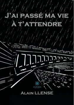 J'ai passé ma vie à t'attendre - Thriller
