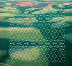 Fields - CD