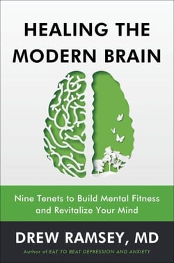 Healing the Modern Brain - Nine Tenets to Build Mental Fitness and Revitalize Your Mind