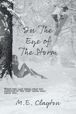 In the Eye of the Storm - The Storm Series, #1
