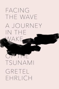Facing the Wave - A Journey in the Wake of the Tsunami