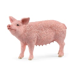 Cochon