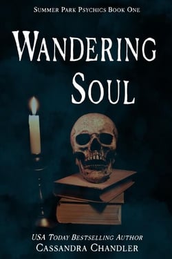 Wandering Soul - The Summer Park Psychics, #1