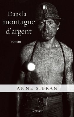 Dans la montagne d'argent - roman