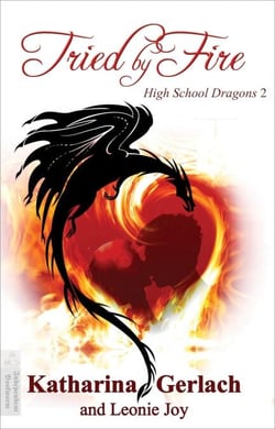 Tried by Fire - High School Dragons, #2