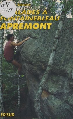 Escalades à Fontainebleau - Apremont