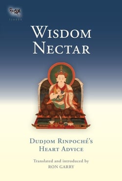 Wisdom Nectar - Dudjom Rinpoche's Heart Advice