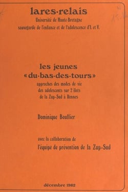 Les jeunes « du-bas-des-tours » - Approches des modes de vie des adolescents sur 2 îlots de la ZUP-Sud à Rennes