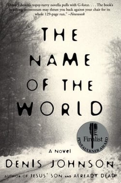 The Name of the World - A Novel