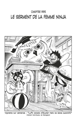One Piece édition originale - Chapitre 995 - Le serment de la femme ninja