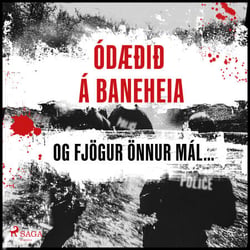 Ódæðið á Baneheia og fjögur önnur mál sem gerðust á almenningsstöðum