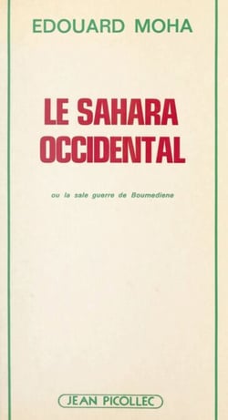 Le Sahara occidental - Ou La sale guerre de Boumediene