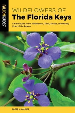 Wildflowers of the Florida Keys - A Field Guide to the Wildflowers, Trees, Shrubs, and Woody Vines of the Region