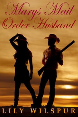 Mary’s Mail Order Husband - Montana Mail Order Brides, #4
